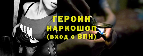 гидра Няндома