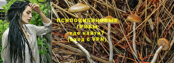 эйфоретик Армянск