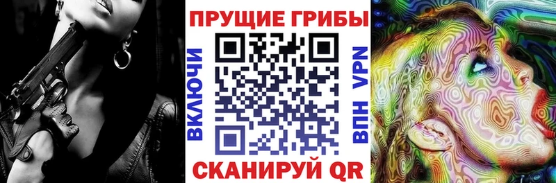 даркнет клад  Сим  Галлюциногенные грибы Cubensis 